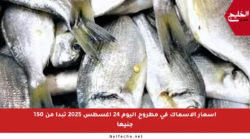 أسعار الأسماك في مطروح اليوم 24 أغسطس 2025 تبدأ من 150 جنيها